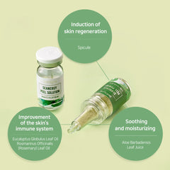 STAYVE SEANERGY PEEL AMPOULE 5X1.3g+5X8ml STAYVE SEANERGY PEEL AMPOULE 5X1.3g+5X8ml