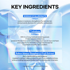 [10-Pack] Lesimo Hyaluronic Acid Aqua Serum Mask 10X23ml