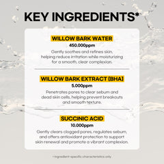 [Double] Lesimo Willow Bark Toner 2X250ml